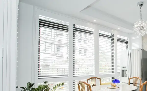 Endura ABS
Paulownia